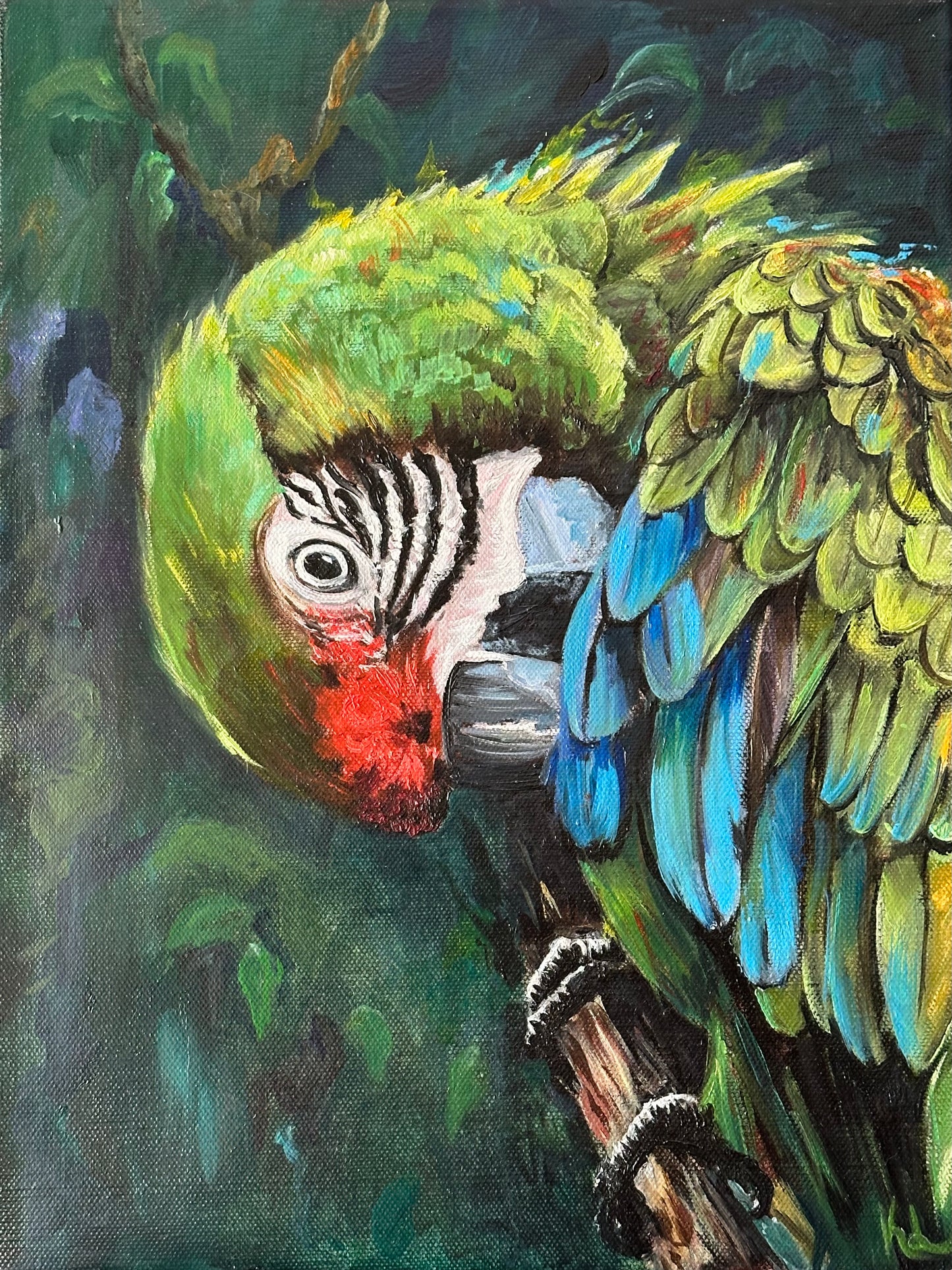 Lizzy Swallow: Parrot on a Branch Original Painting 12 x 16
